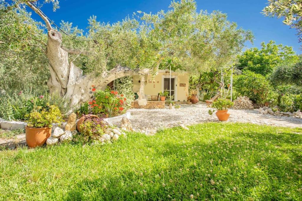 Anthia Private Studio A Breath Away From Beaches Áyios Nikítas エクステリア 写真
